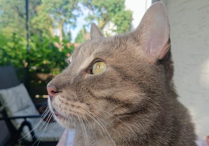 Micoud