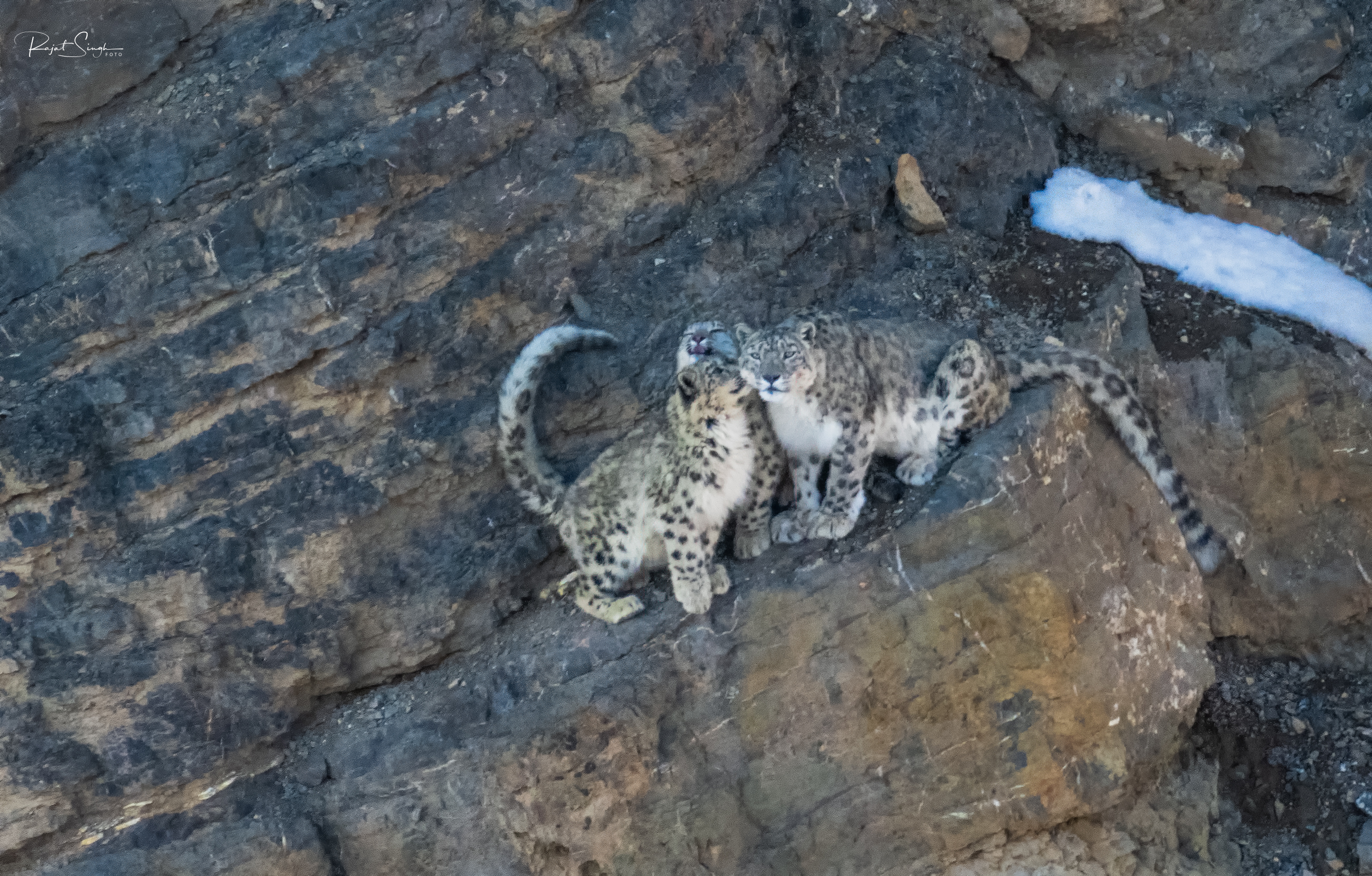 DSC_8585-Edit-Edit-2