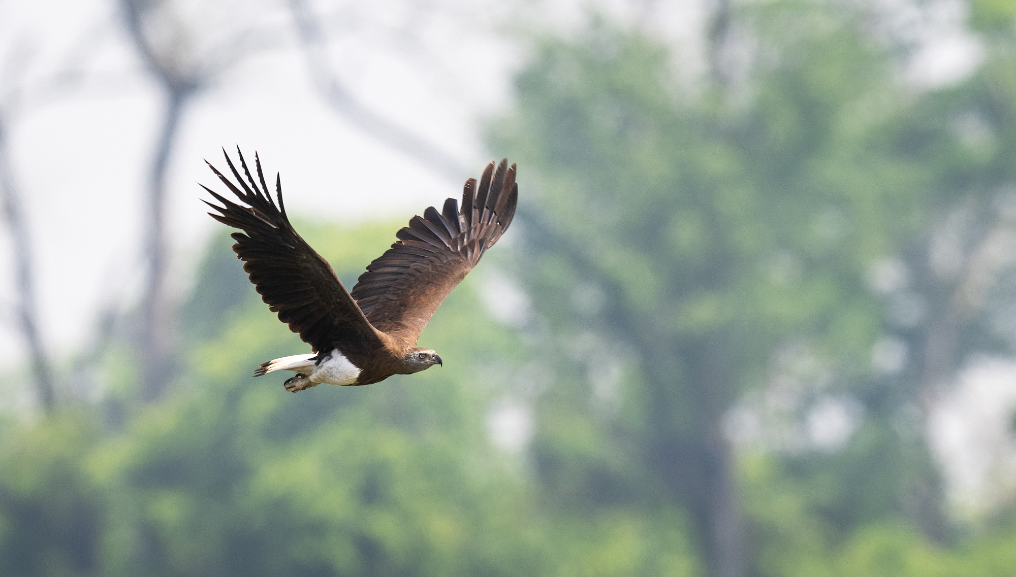 DSC_9473-Edit