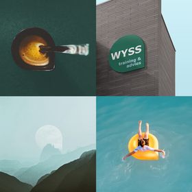 3Wyss_foto1