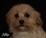 Jilly