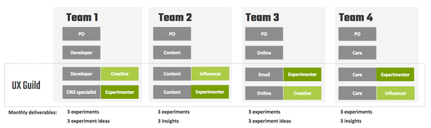 UX Guild structure