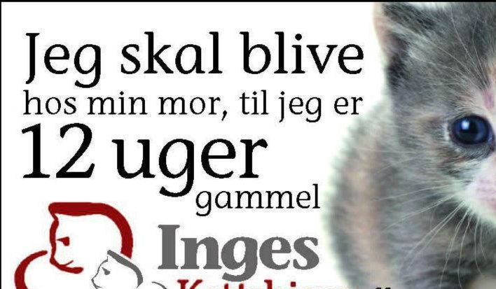 HUSK DET NU. 