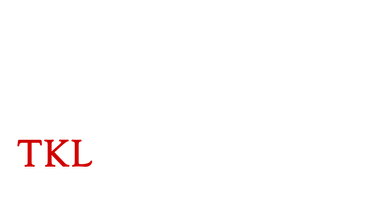 Fyrsiurgisk Hesteterapi