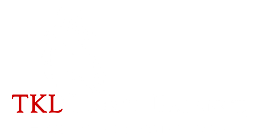 Fyrsiurgisk Hesteterapi