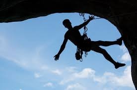 Fall protection harness