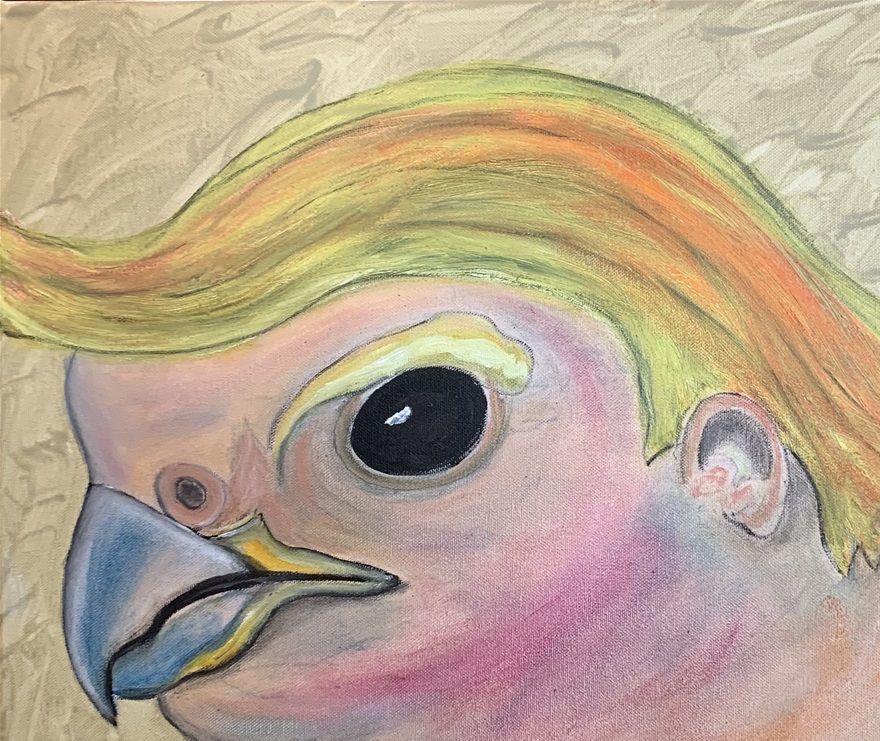 The eagle has becoming a spurv.