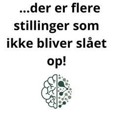 flere stillinger