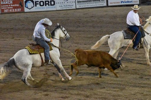 Cowboys bei der Arbeit