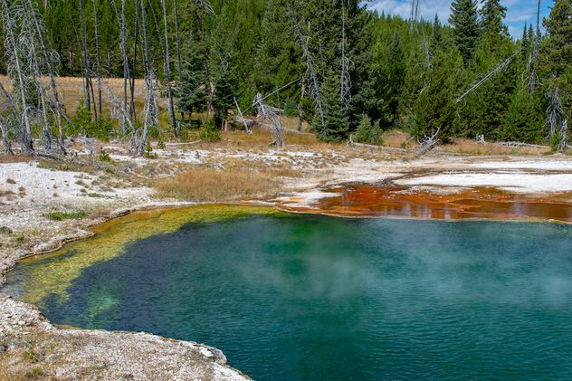 beeindruckende Pools