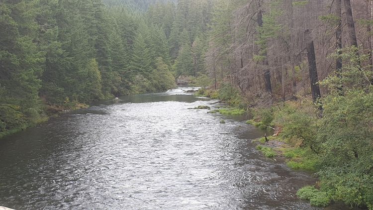 Der Umpqua River