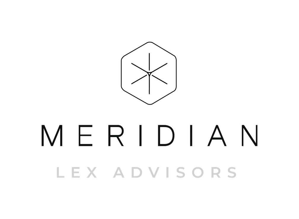MERIDIAN LEX ADVISOR COMMERCIALISTA VALENCIA