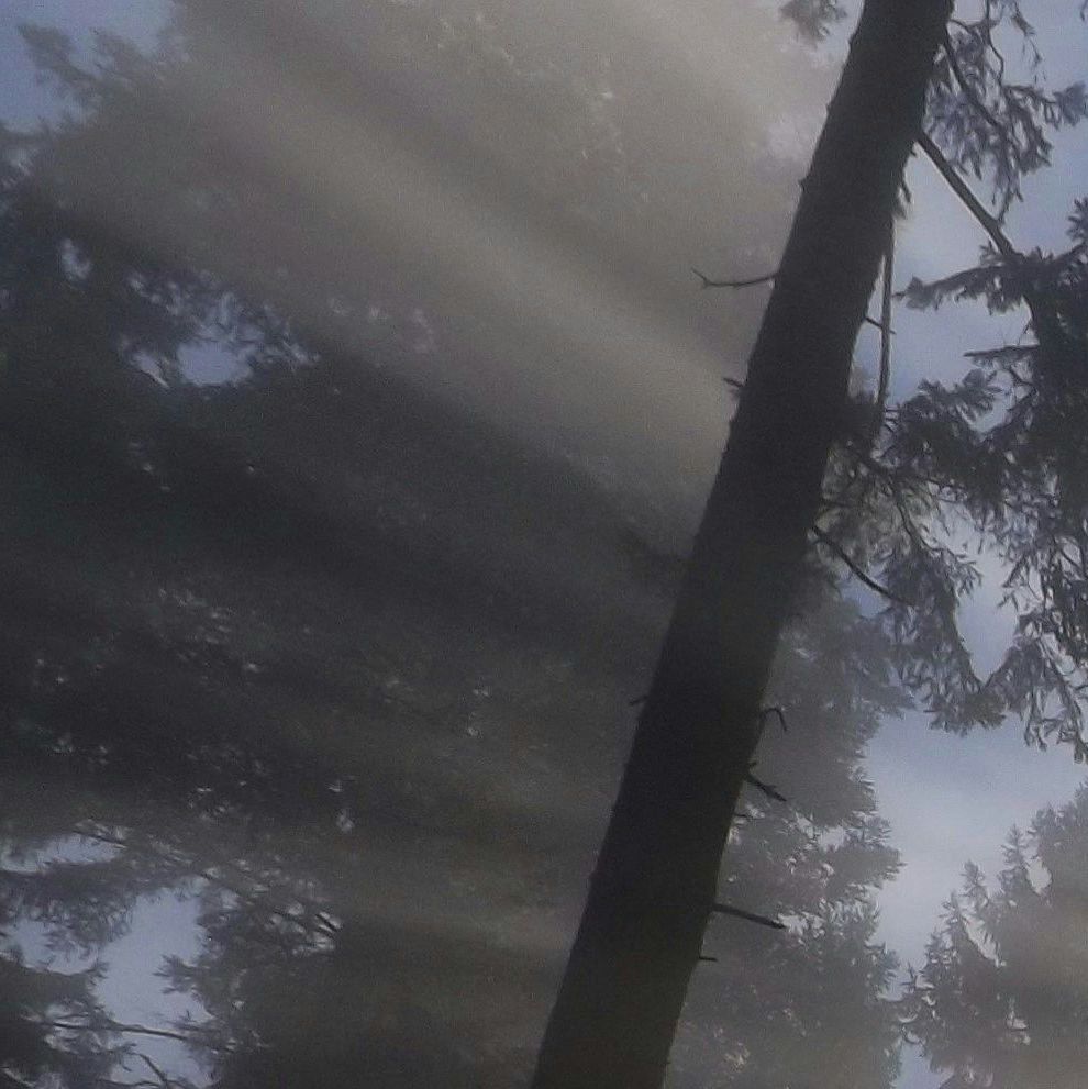 unsplash_V3HM3KfGVGs