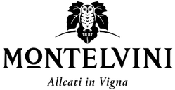 VINI ITALIANI SAN OSVALDO
