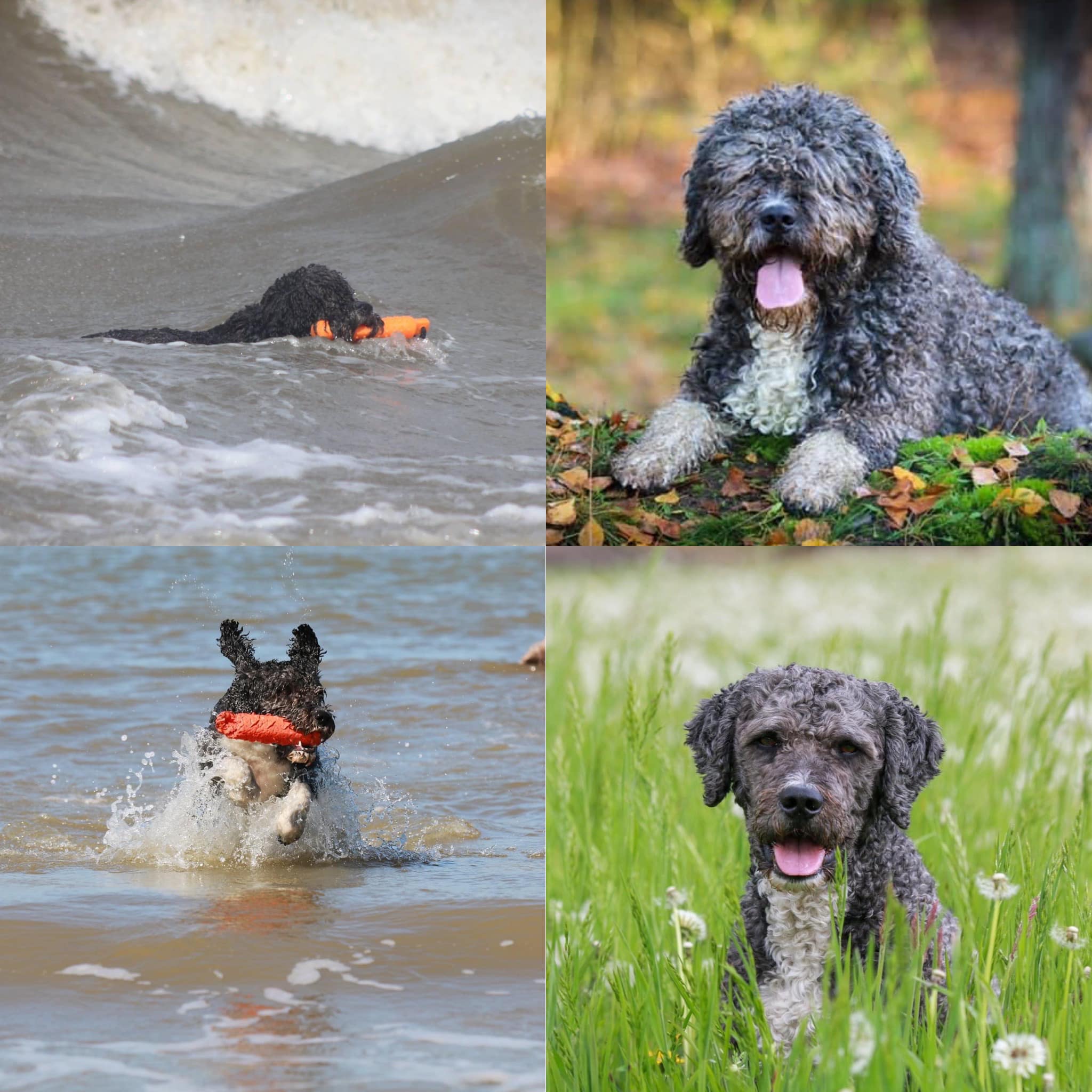 Jack © Todos Juntos