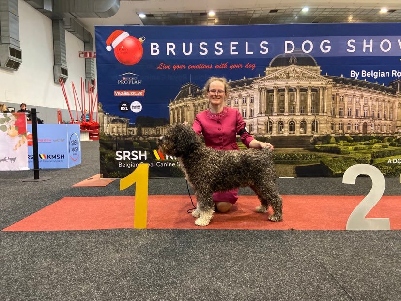 Jack © Todos Juntos