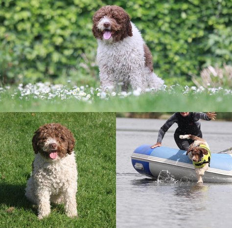 Taimi © Todos Juntos Taimi © Todos Juntos