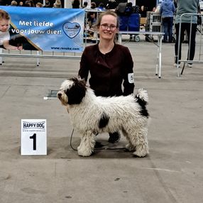 Weewaddle Luv The Way U Look - International Junior Champion