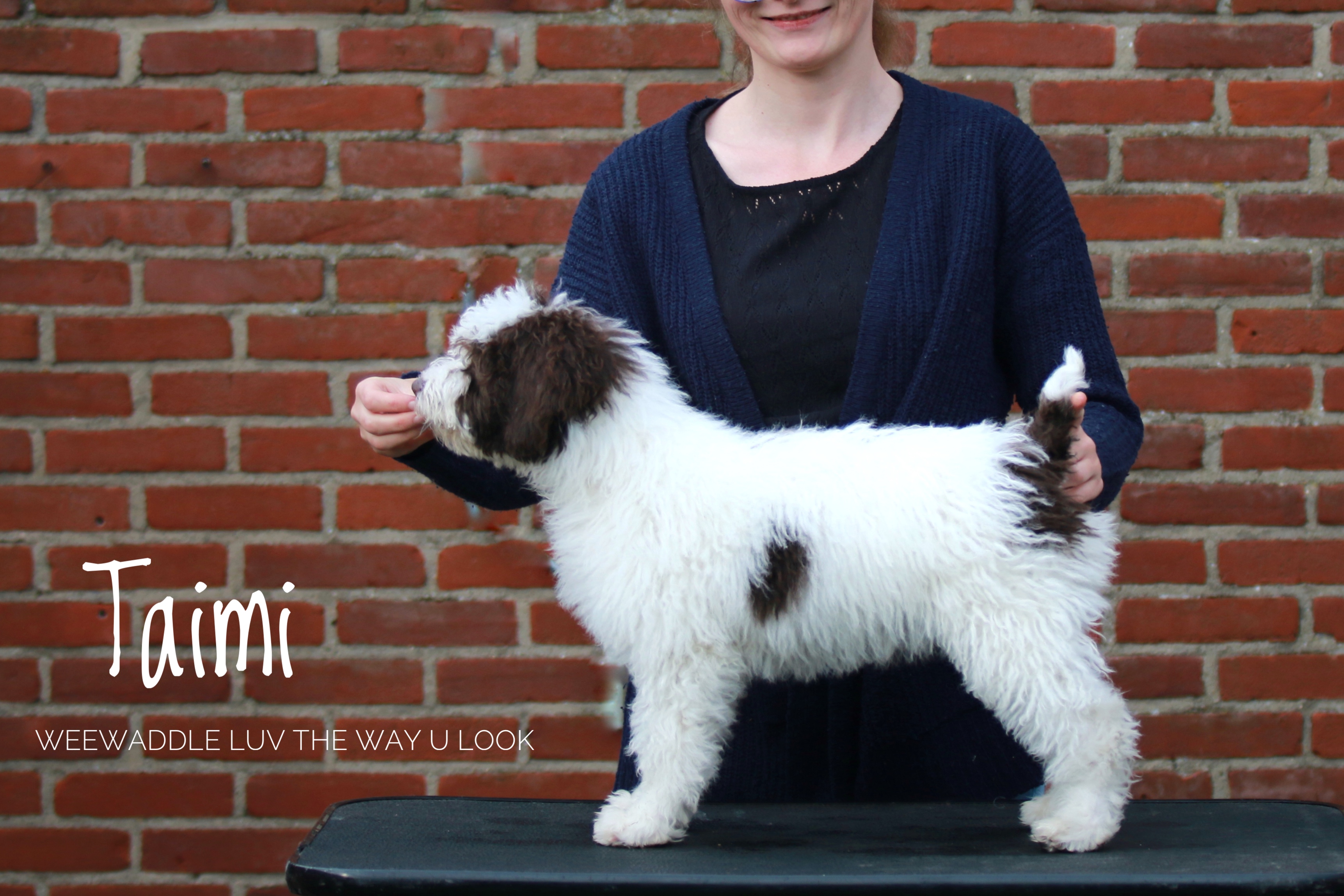 Taimi ~ Weewaddle Luv The Way U Look © Todos Juntos