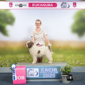 BEST_OF_BREED_1088_LR_LKV_GENK_2025_KYNOWEB_KY3_4055_20250629_09_45_44