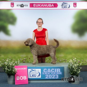 BEST_OF_BREED_1280_LR_LKV_GENK_2023_KYNOWEB_KY3_3974-Edit_20230625_12_