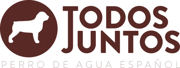 Todos Juntos Spaanse waterhonden