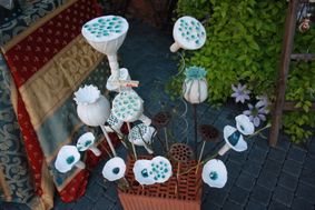 IMG_5519