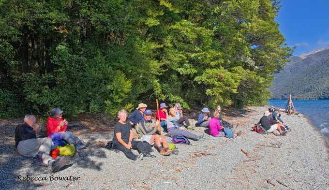 The Lunch stop