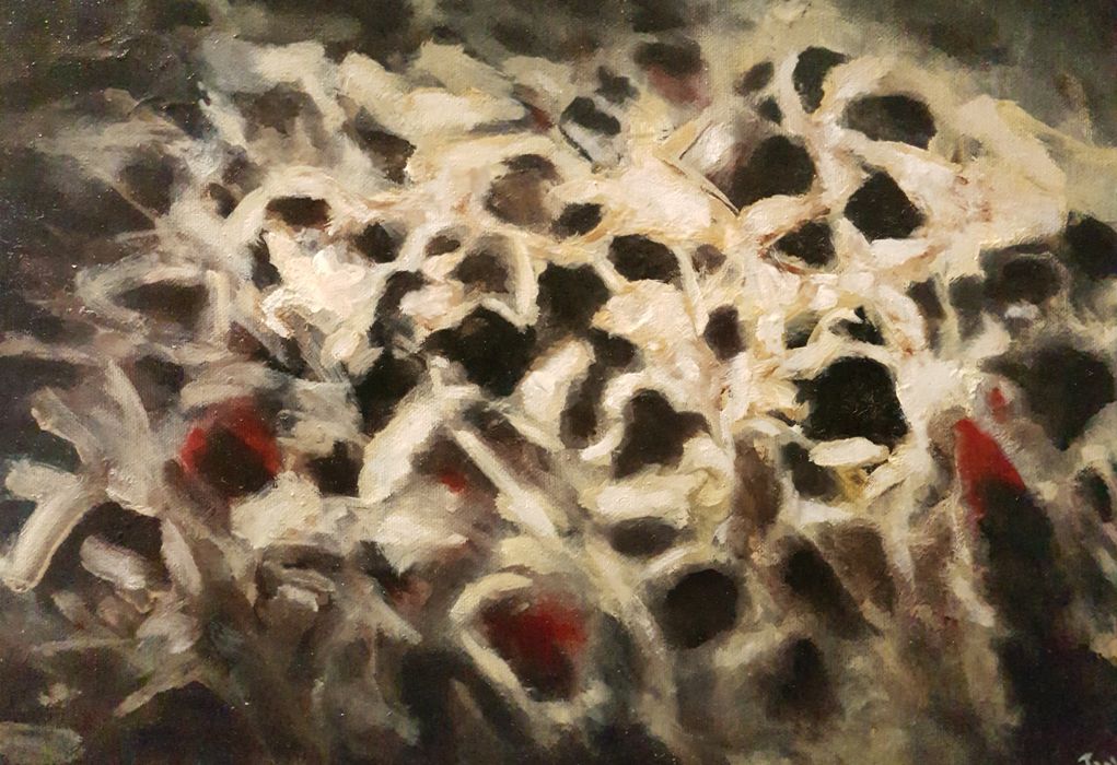Pareidolia V