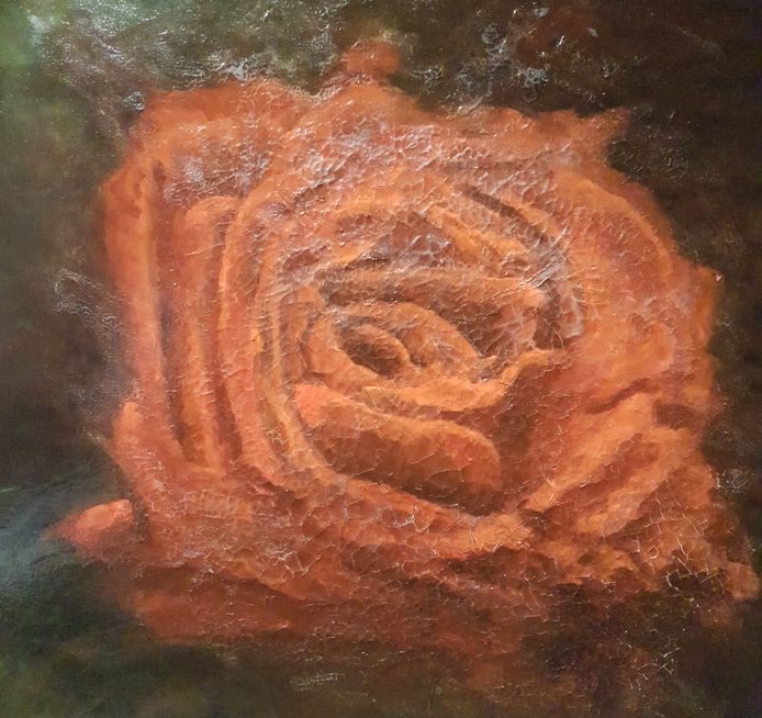 Ceci n'est pas une rose