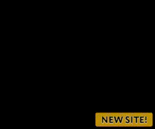 Interracial-Vision-Join