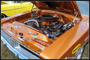 D3S_6230