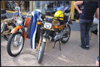 D3S_0881
