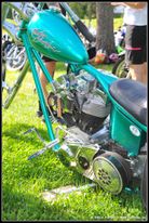 D3S_1189