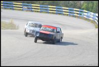 D3S_3341