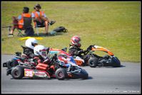 D3S_2395