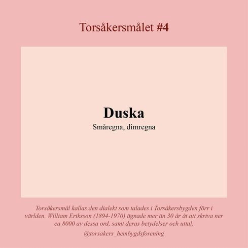 Torsåkersmålet_4