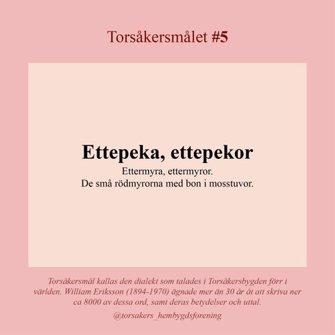 Torsåkersmålet_5