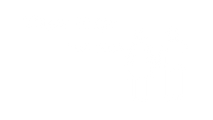 viager-occupe-deux-tetes-Albi