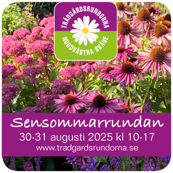 Sensommarrundan