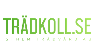 Arborist Trädfällare Trädkoll.se