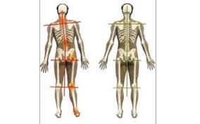 Biomechanical Assessments
