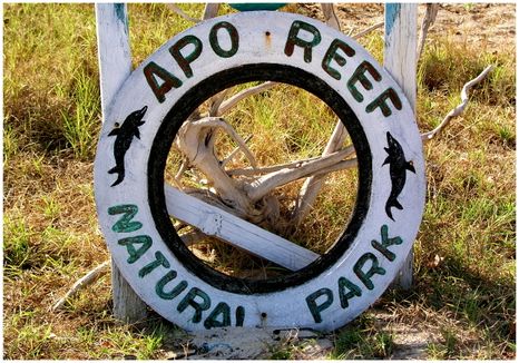 Apo Reef