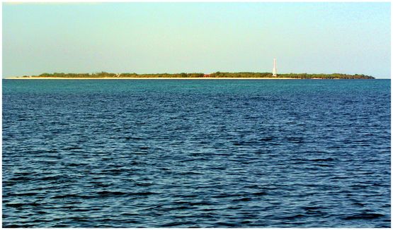 Apo Reef