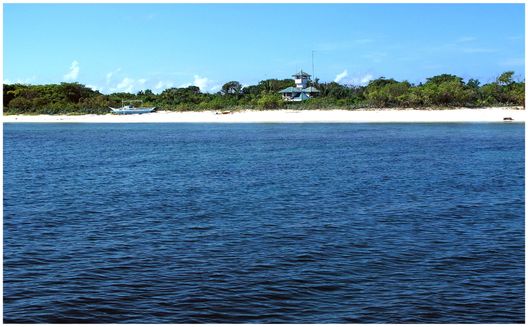 Apo Reef
