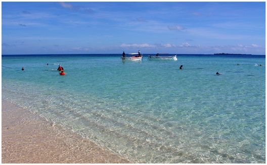 Apo Reef-09