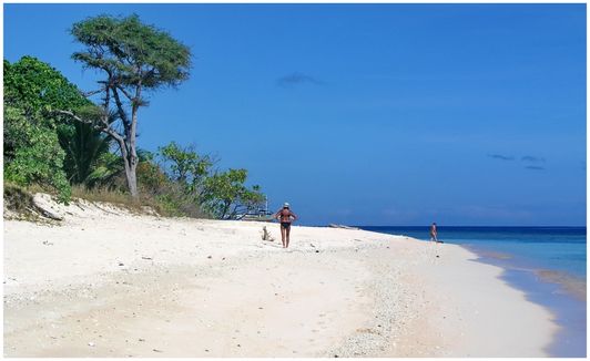 Apo Reef