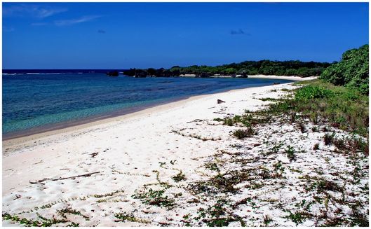 Apo Reef