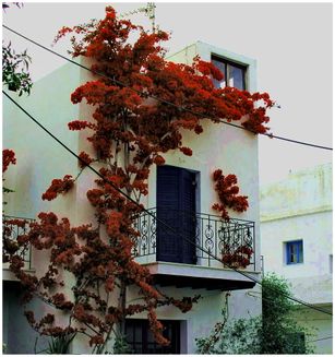 Naxos