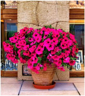 Naxos